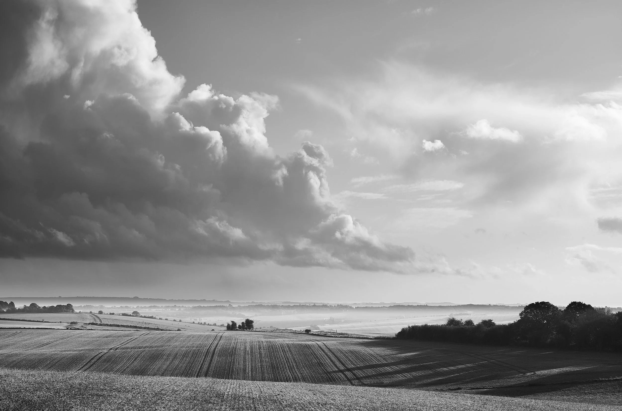 L100063700765_01051.jpg