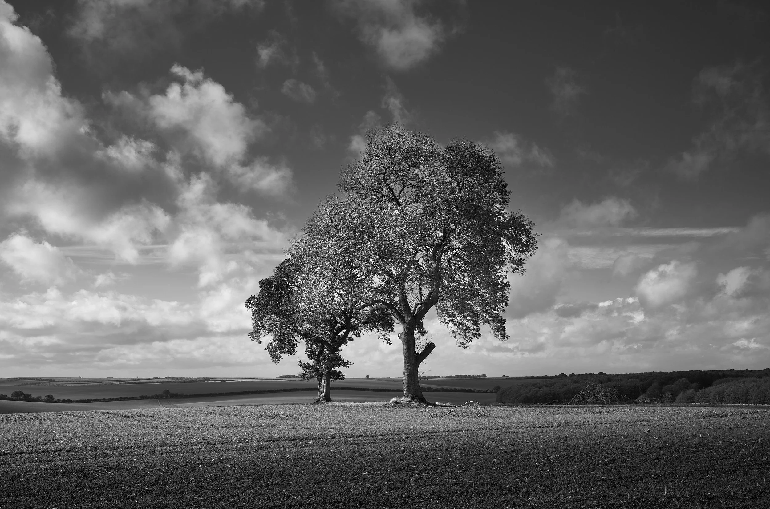 L100061900747_01049.jpg