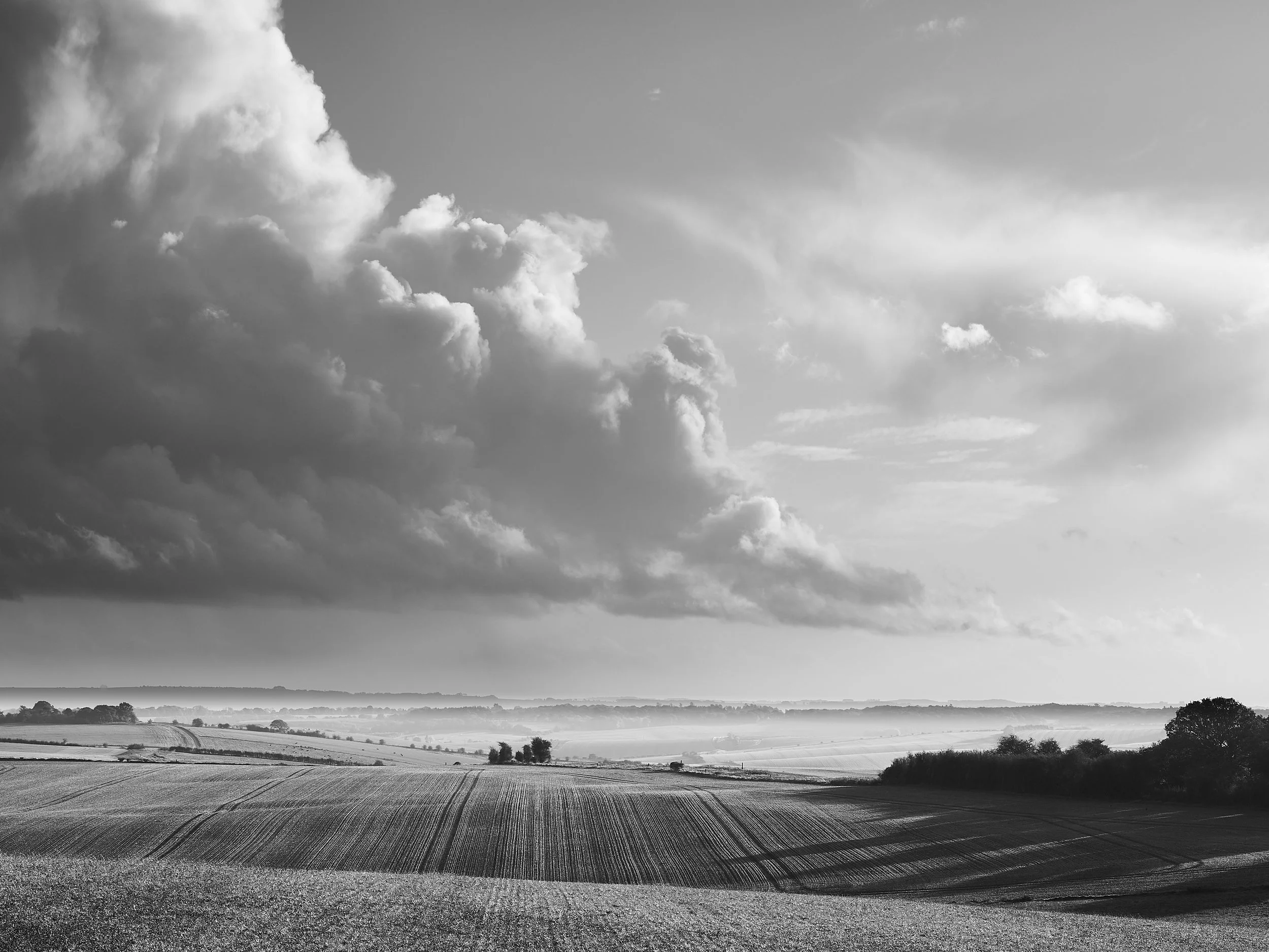 L100063700765_01057.jpg