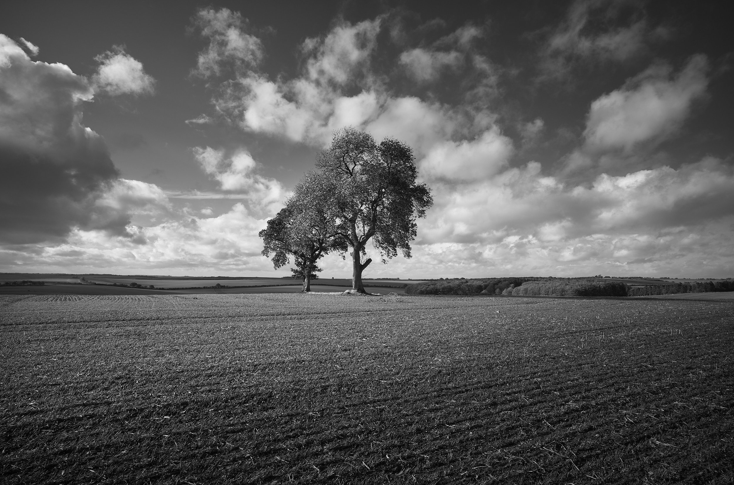 L100062500753_01050.jpg