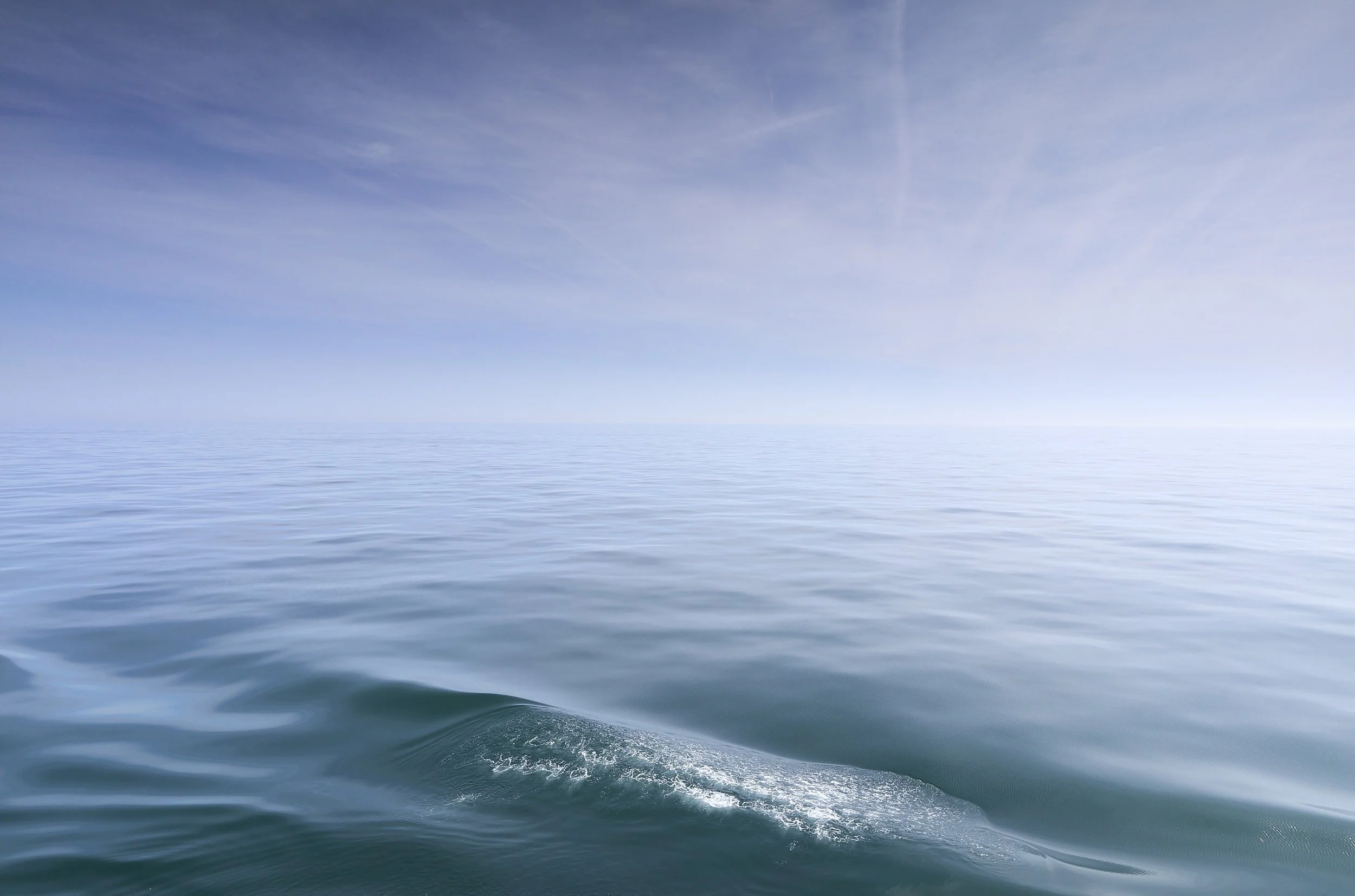 L100254203870_01176.jpg