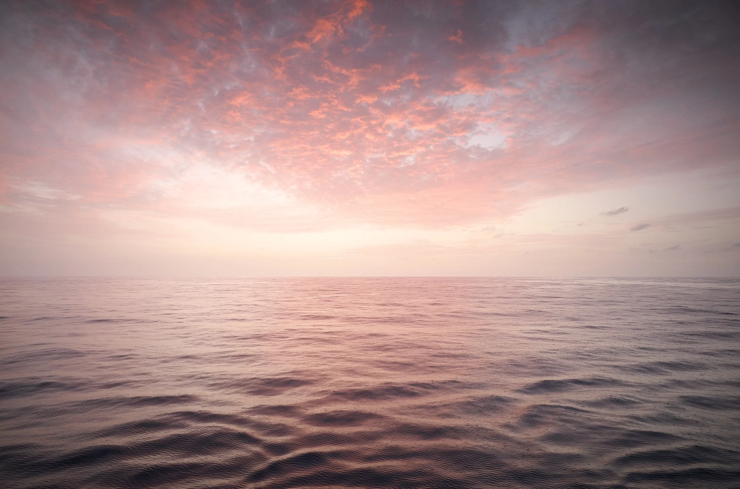 L100042801407_01167.jpg