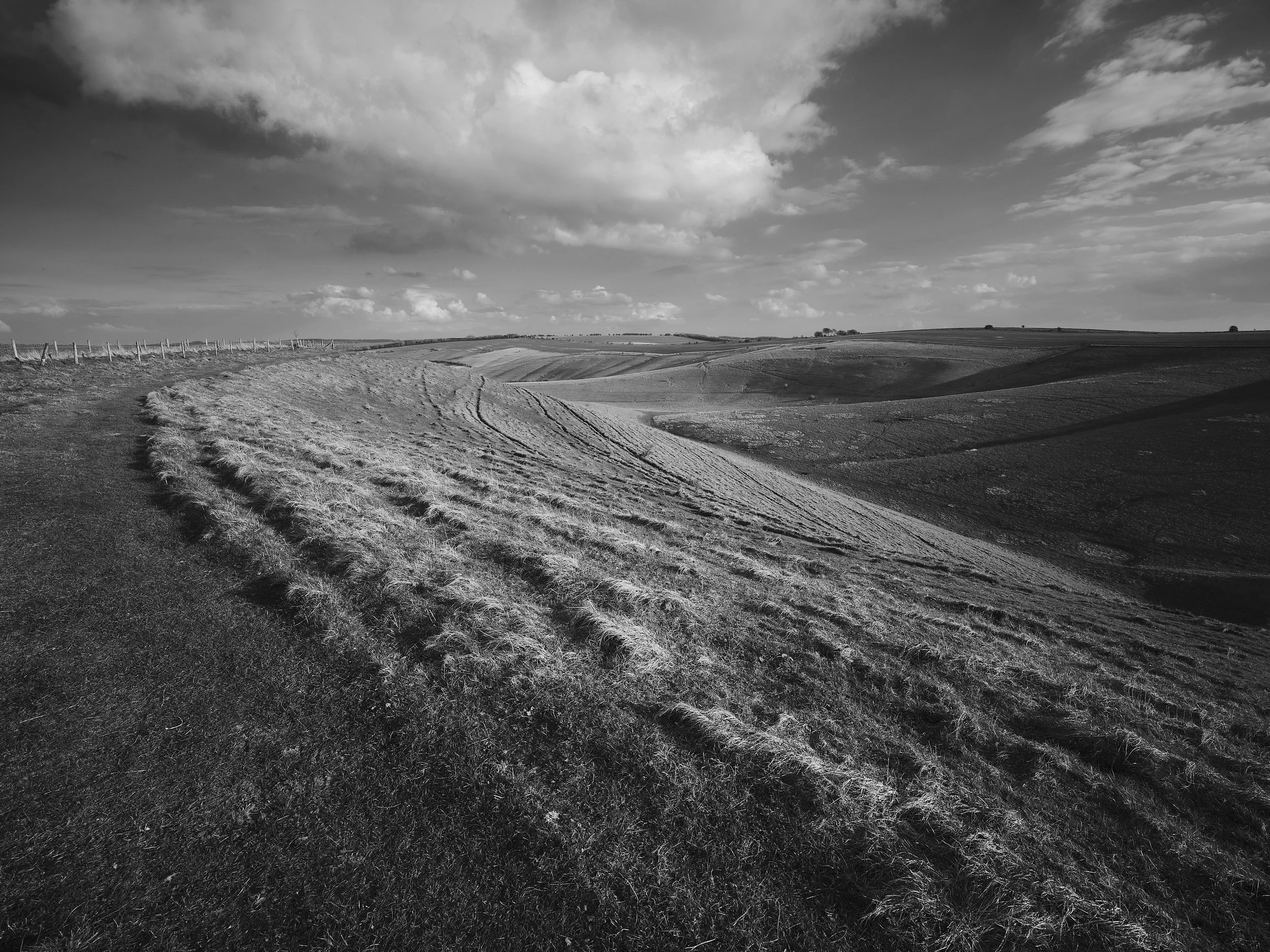 _DSF0728_01054.jpg