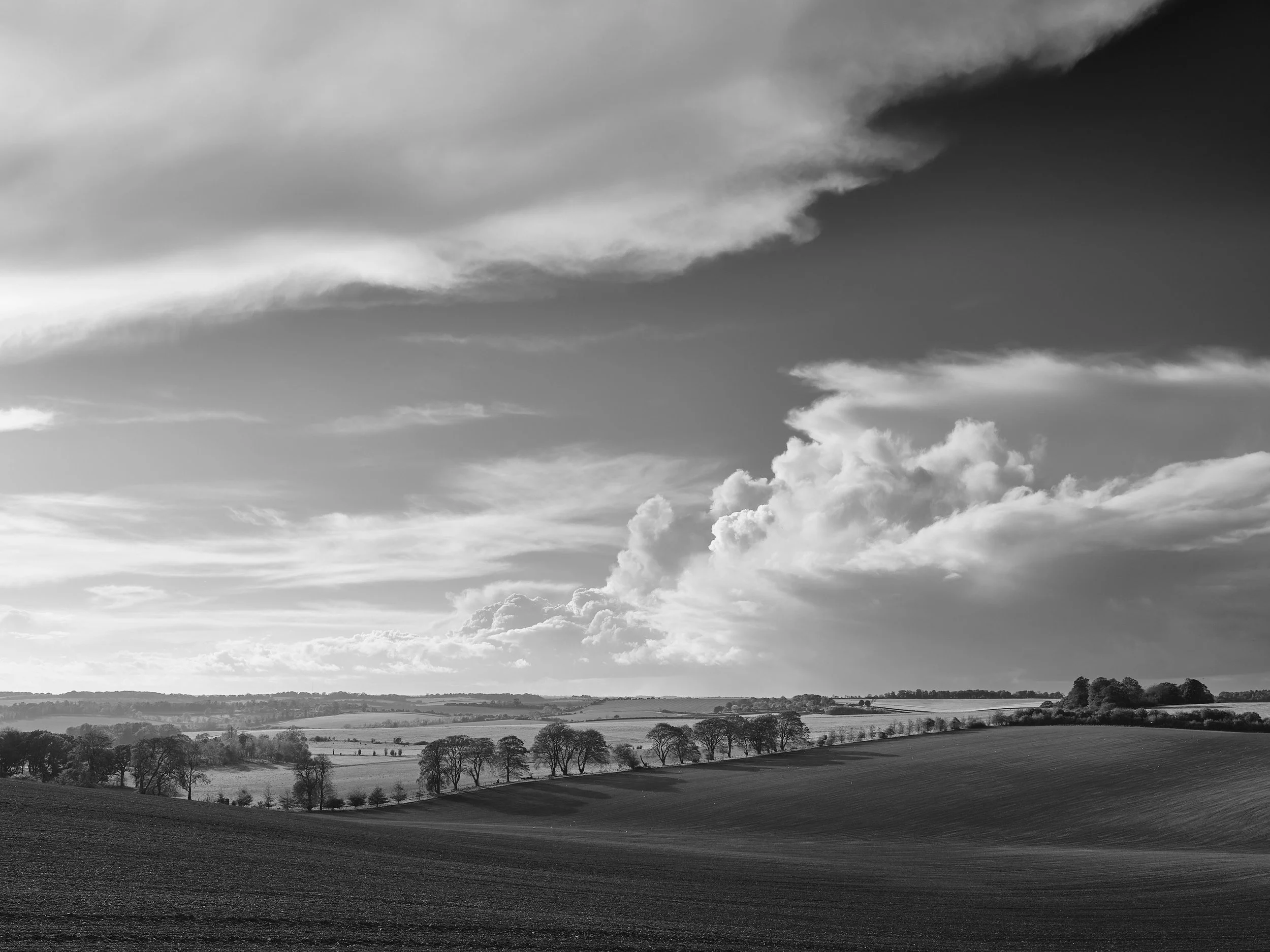 _DSF5373_01046.jpg