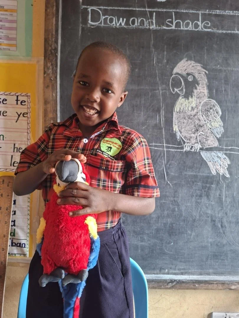A young boy in a red plaid shirt holding a colorful plush parrot toy in a classroom with a blackboard and a parrot drawing in the background.