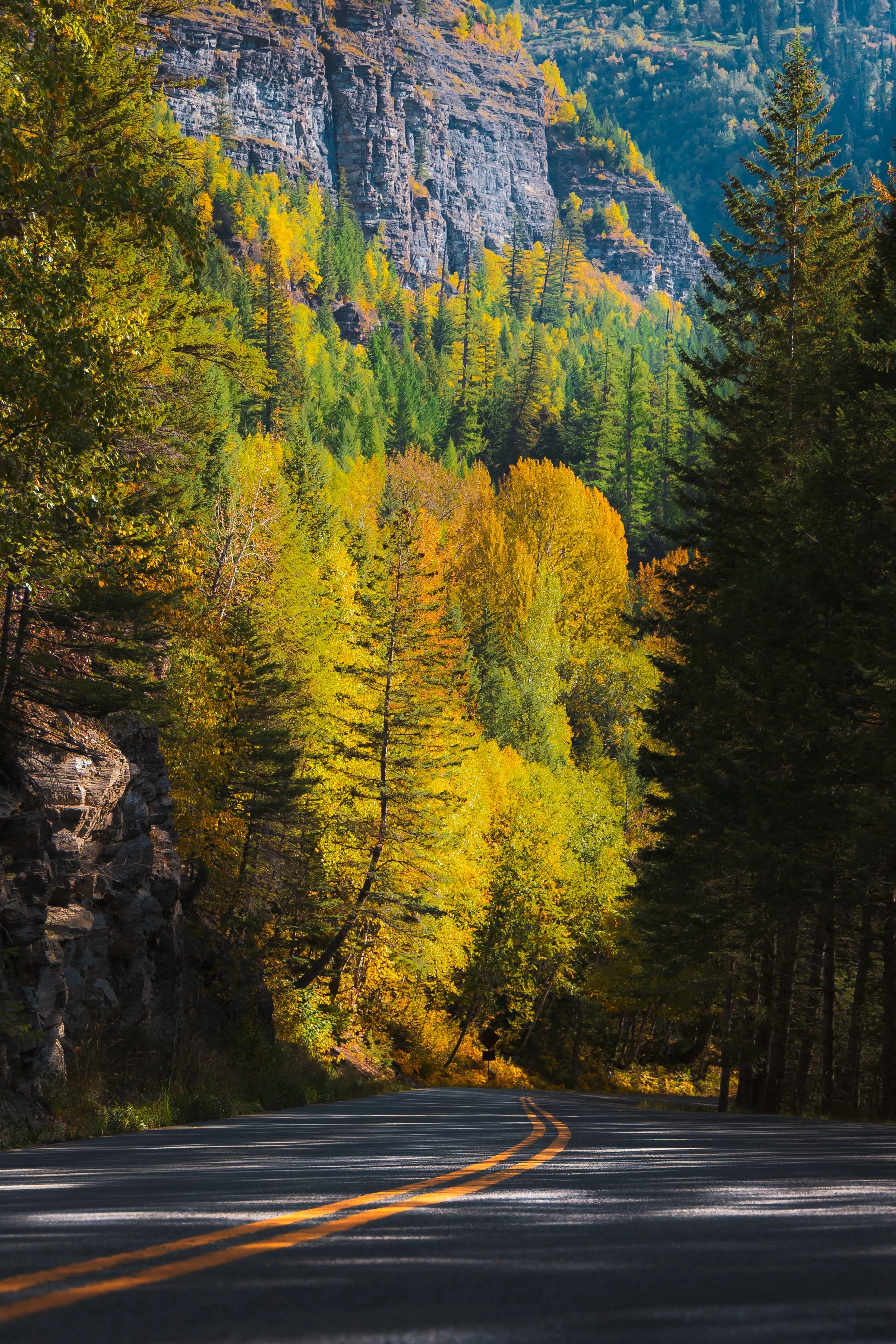 Glacier road bend.jpg