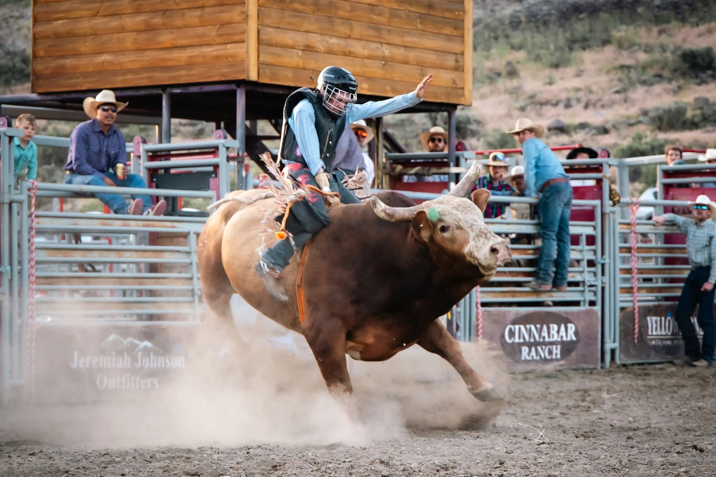 A cowboy riding a bucking bull during a rodeo event with spectators watching from the stands.