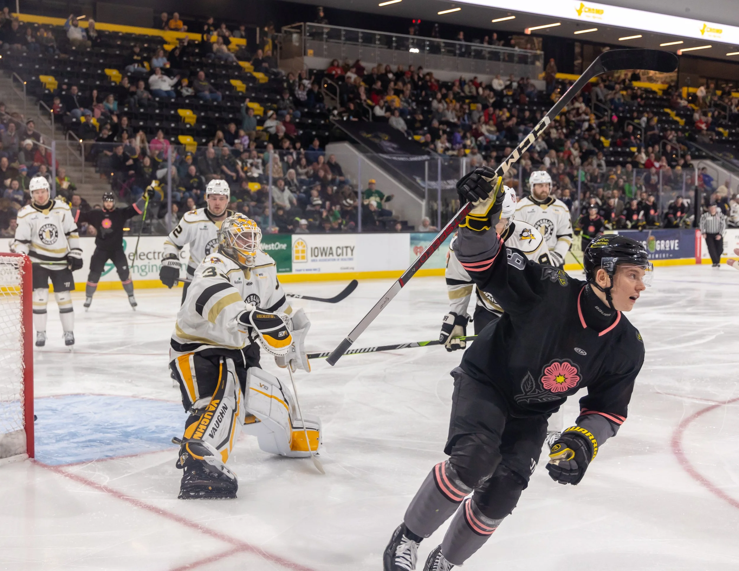 Novak Goal Celly.jpg