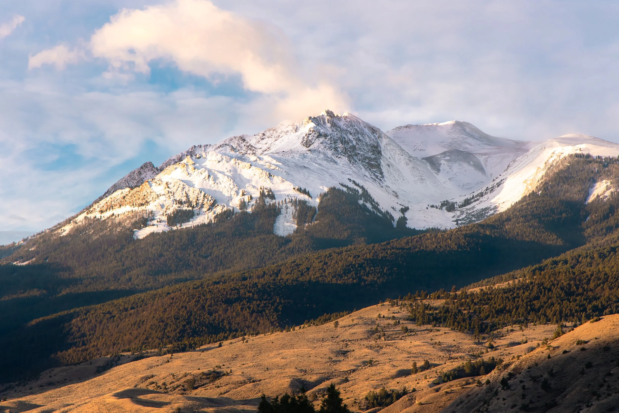 Snow-capped mountain range with green forest on slopes and sunny, partly cloudy sky