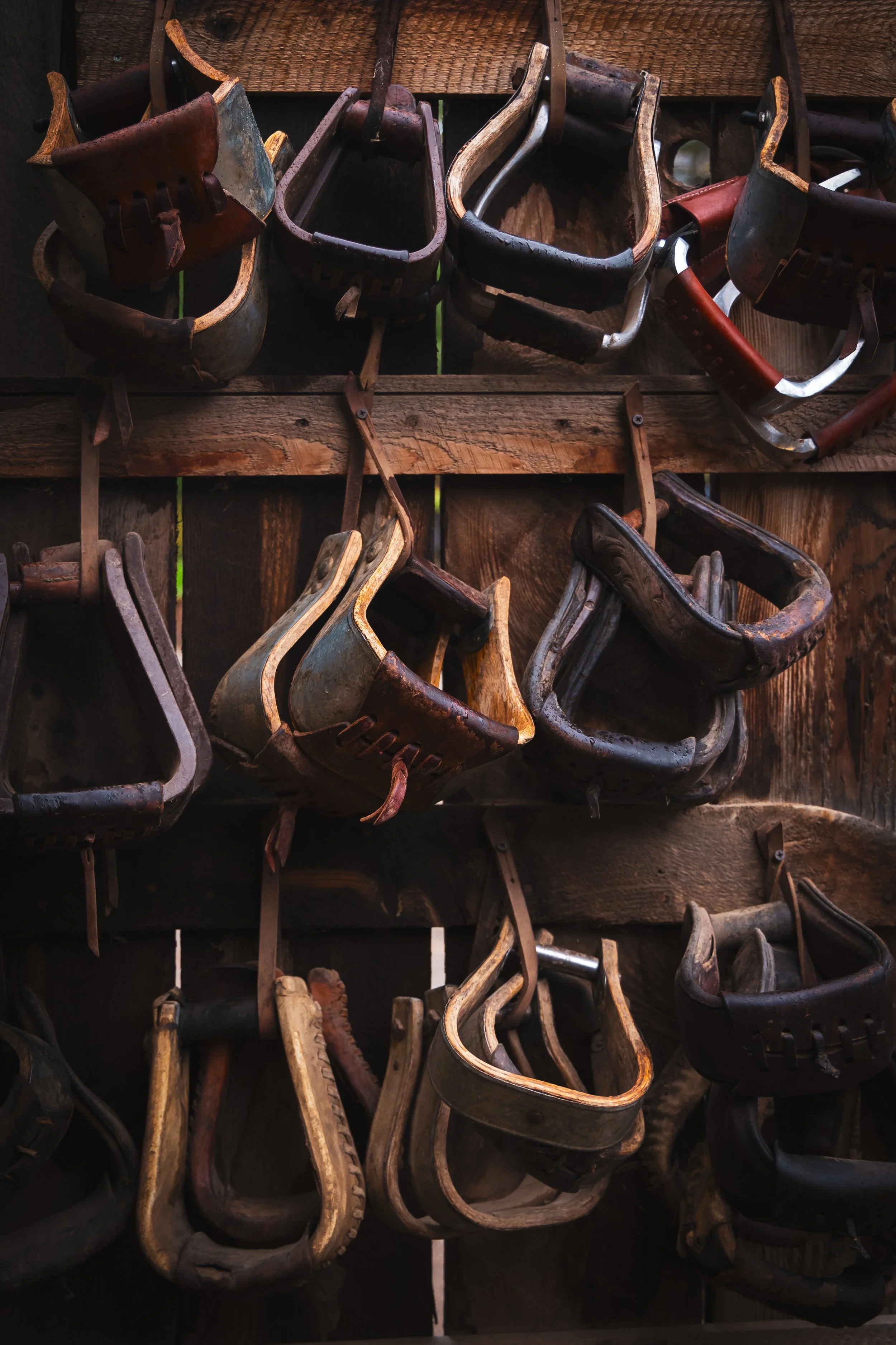 Multiple vintage stirrups hanging on a wooden wall.