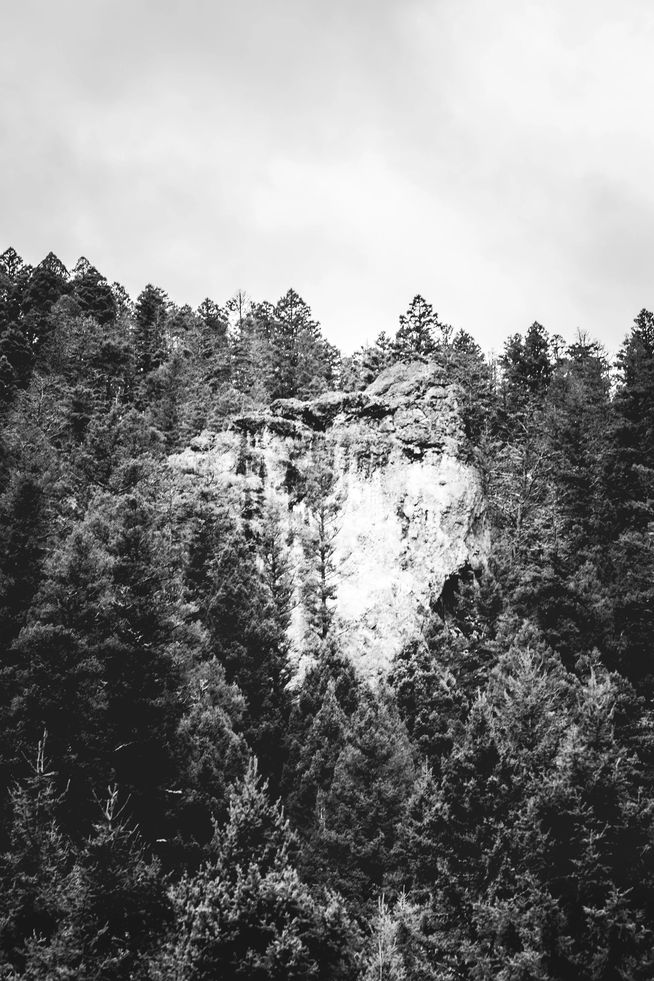 Grouse Hunt Rock Vert.jpg