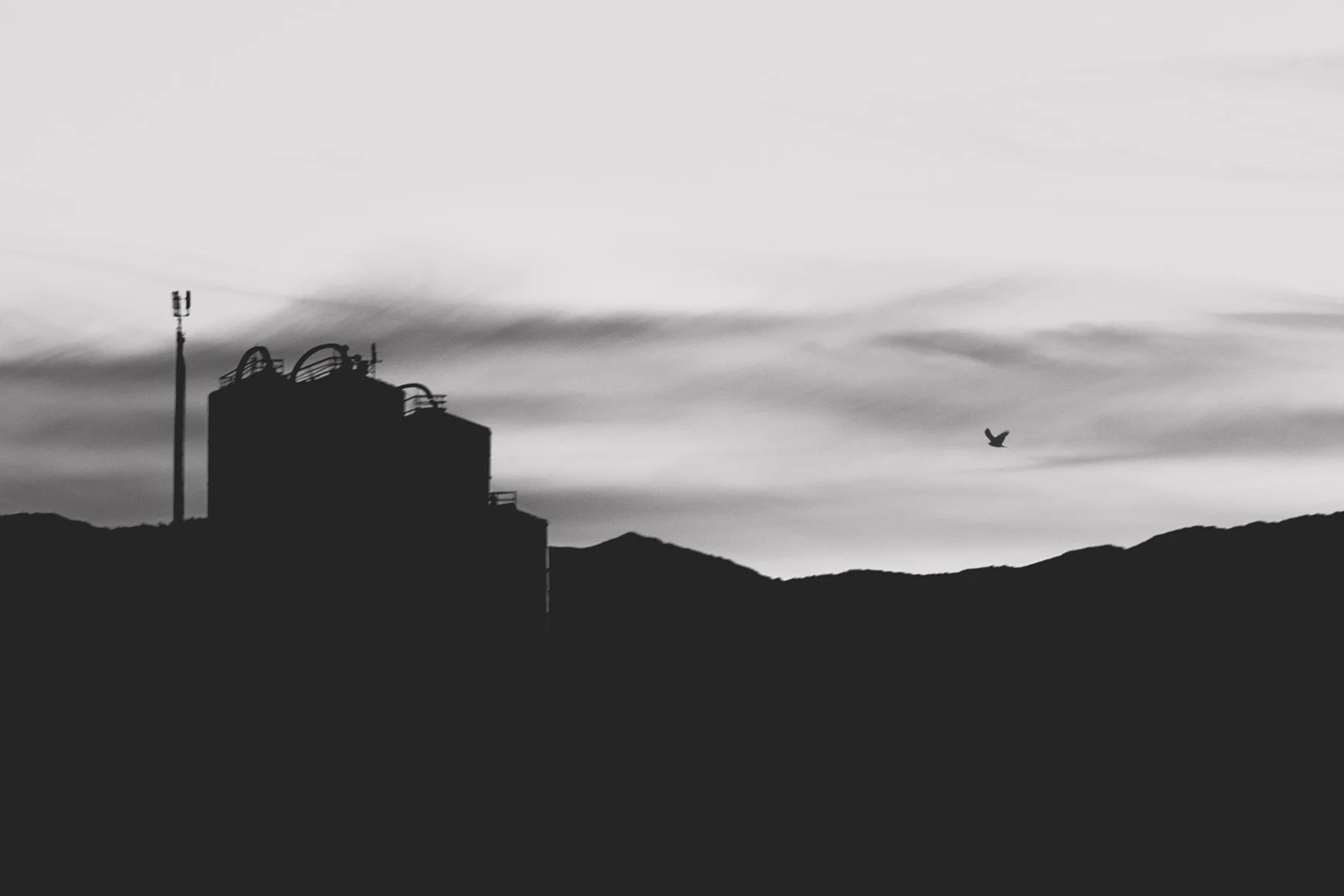 Silos with Hawk copy 2.jpg