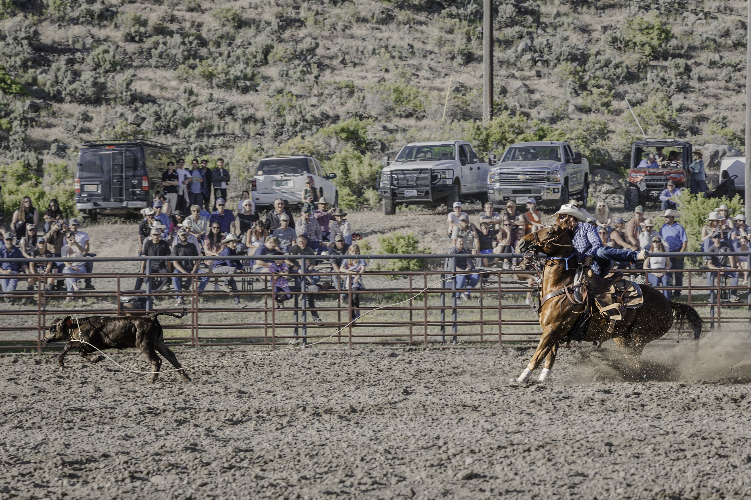 roping copy.jpg