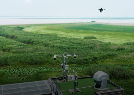 ecological protection.jpg