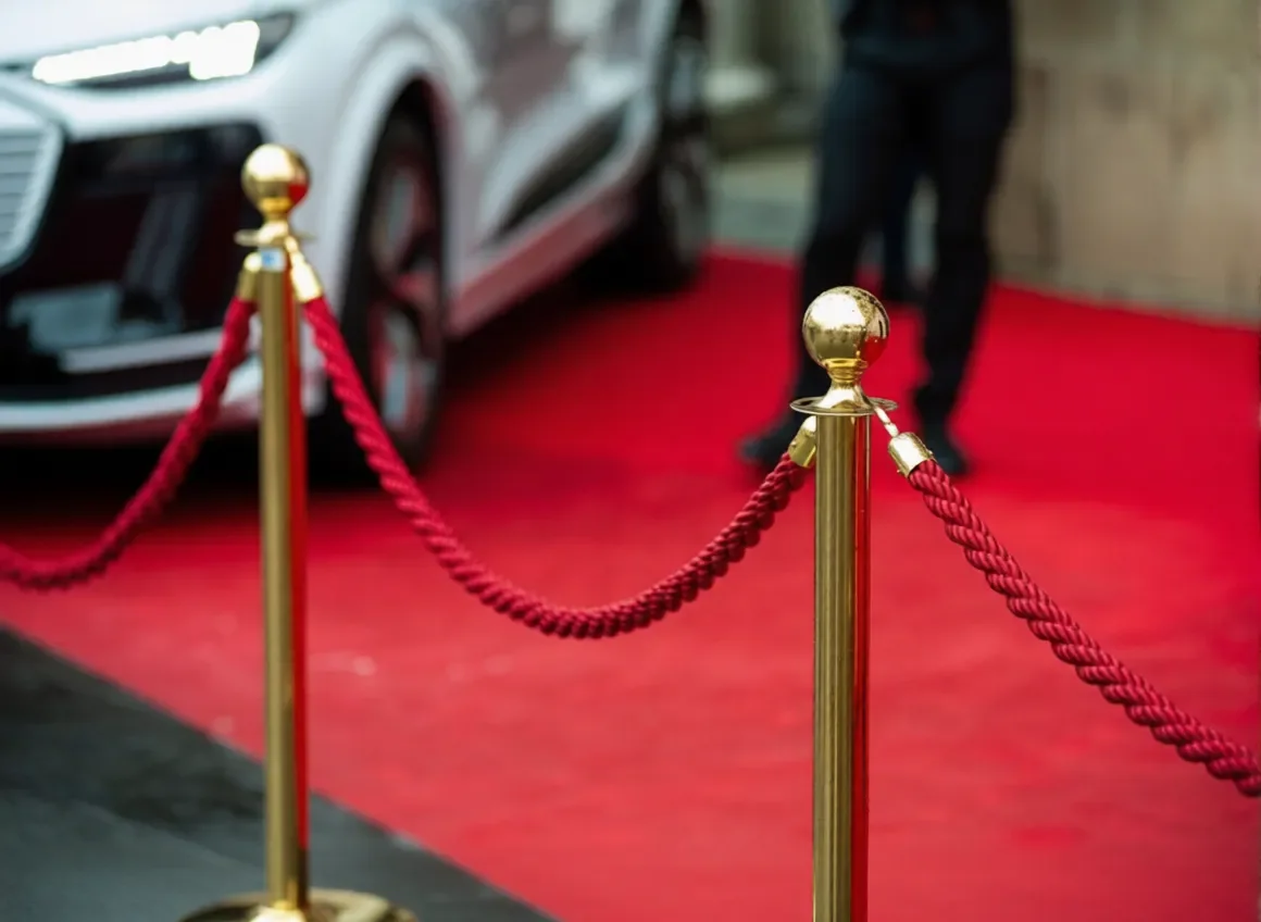 VIP Protection.webp