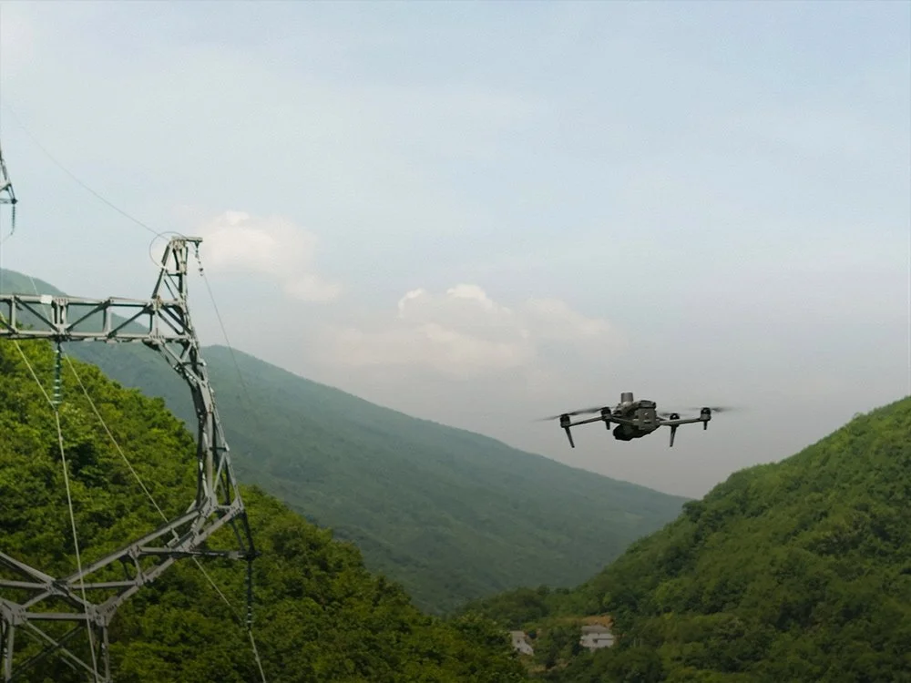 Power Grid Inspection GDU.jpg