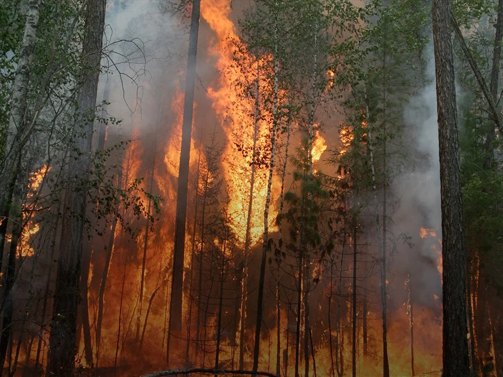 Emergency & Firefighting GDU.jpg