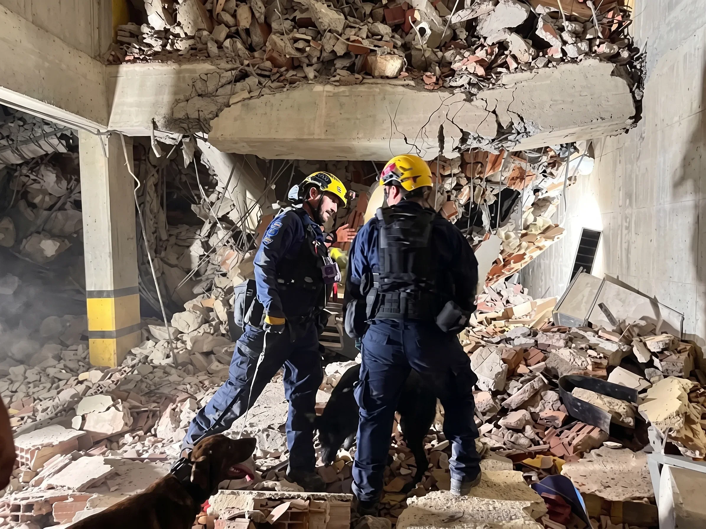 Urban Search & Rescue (USAR).webp
