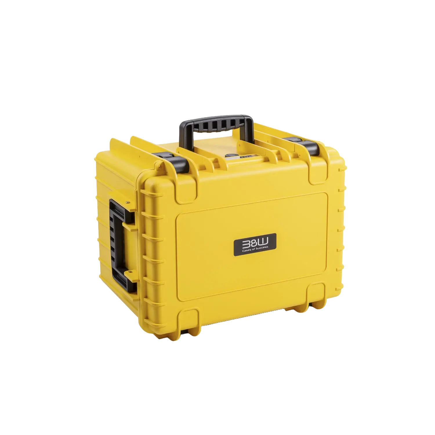 B&W multipurpose case type 5500 (bw.case PP.379)