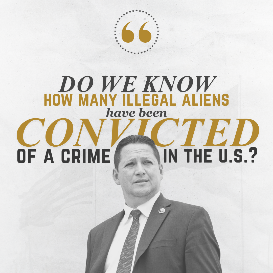 Section 1 Complete the Border Wall-2.png