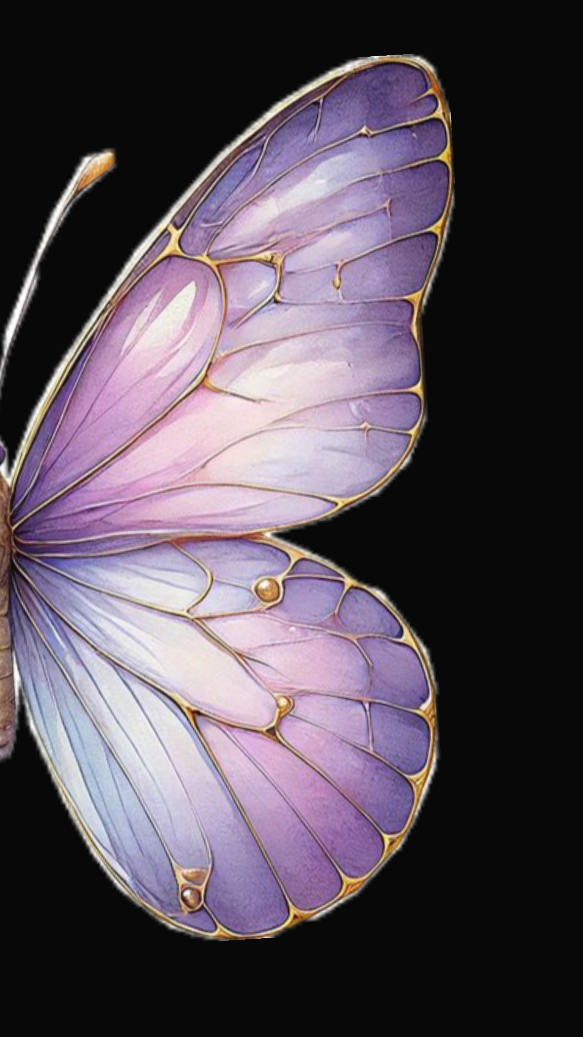 What Lupus Looks Like for Me