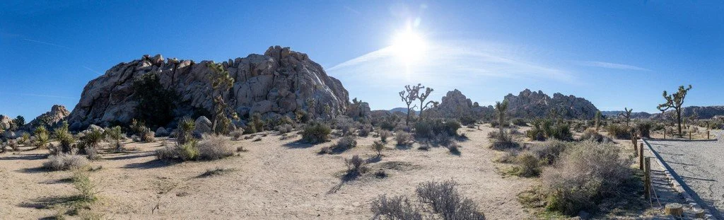 Joshua Tree