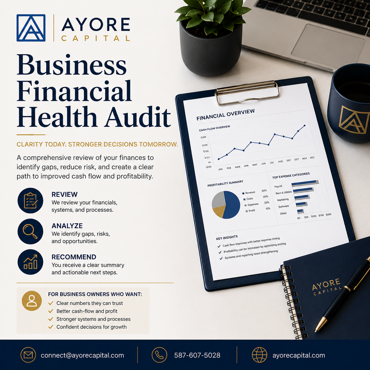 Business Financial Health Audit