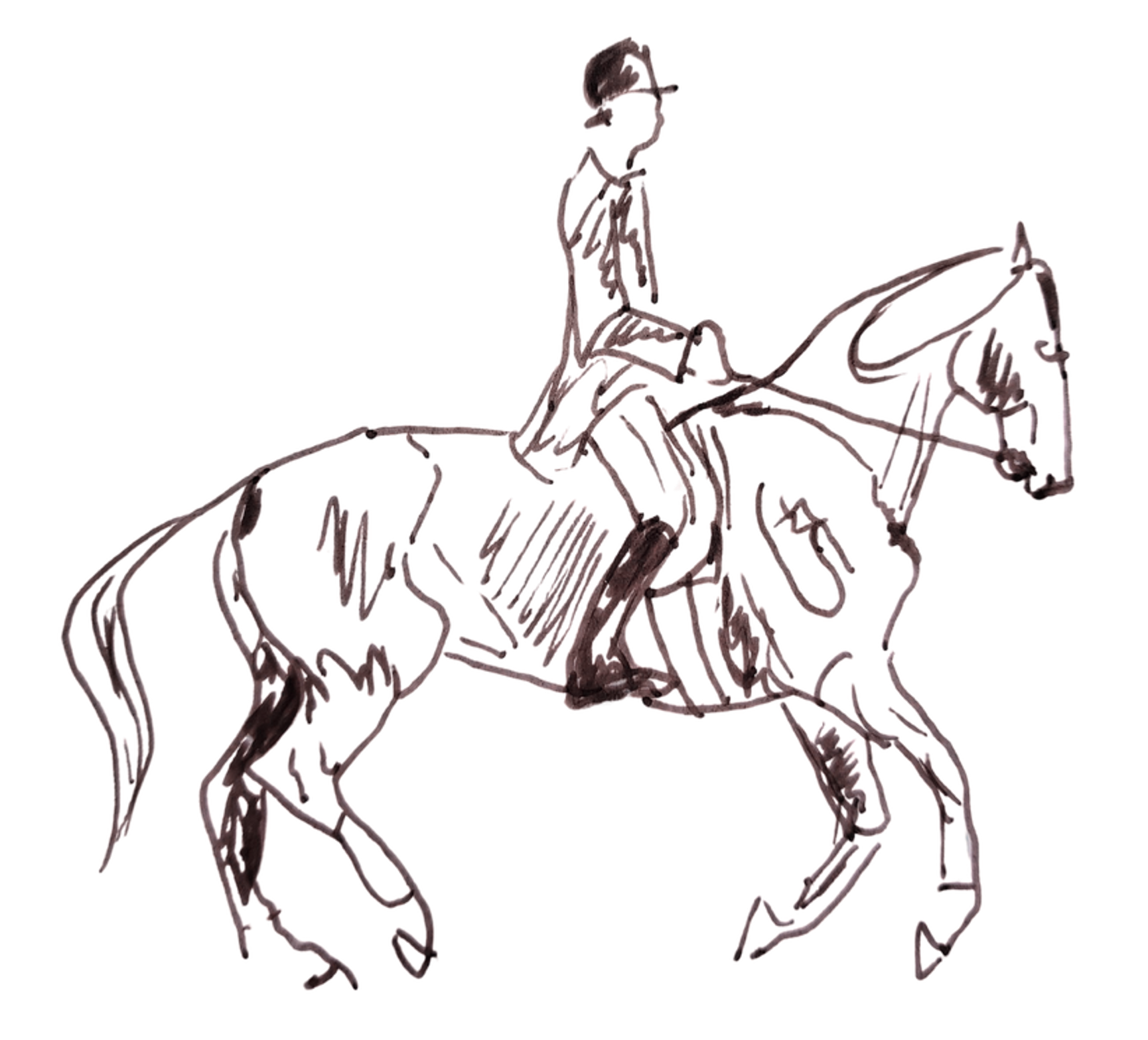 Reading your Horse