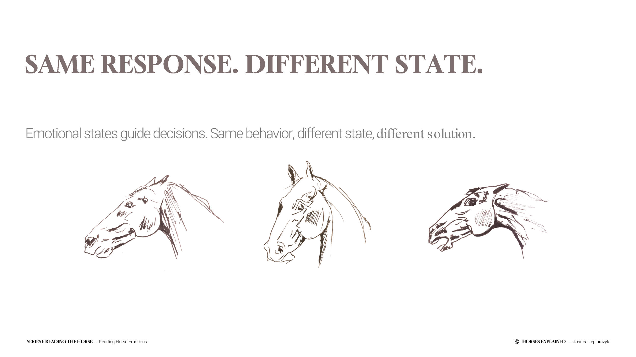 Reading Horse Emotions_draft 5_Page_09.png