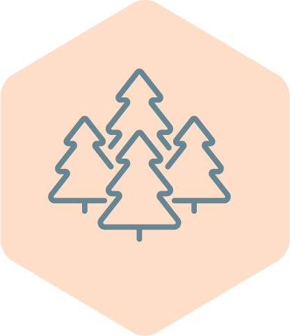 Outline drawing of three pine trees on a light pink background