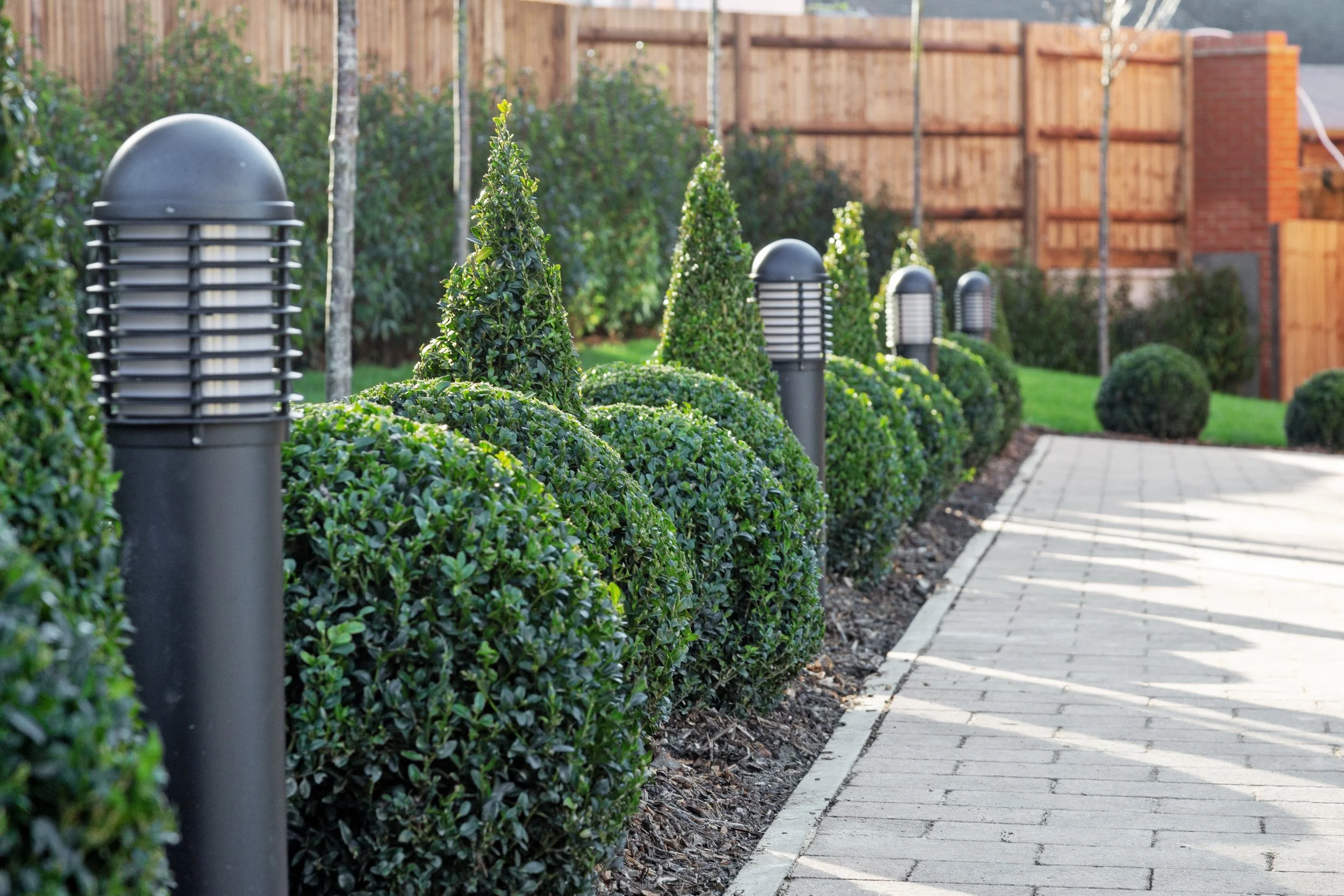 180120222_JASP_ 3 Bramshaw Place, 34-71 High Street _GU27 2JY_030.jpg