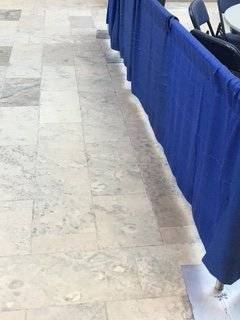 IMG_2388.JPG