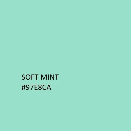 Swatch of mint green color labeled "Soft Mint" with hex code #97E8CA.