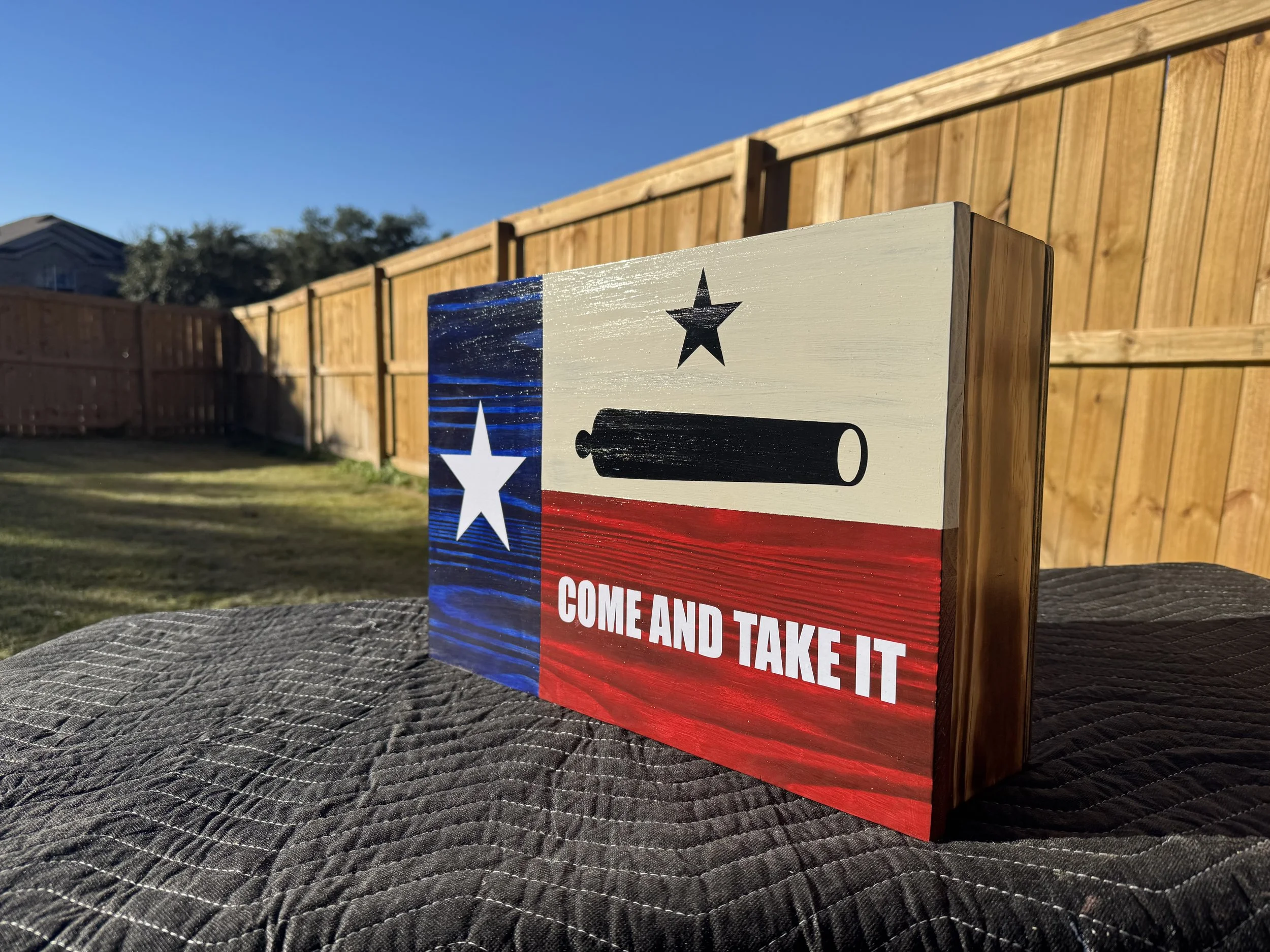 Small Texas Flag Concealment Case