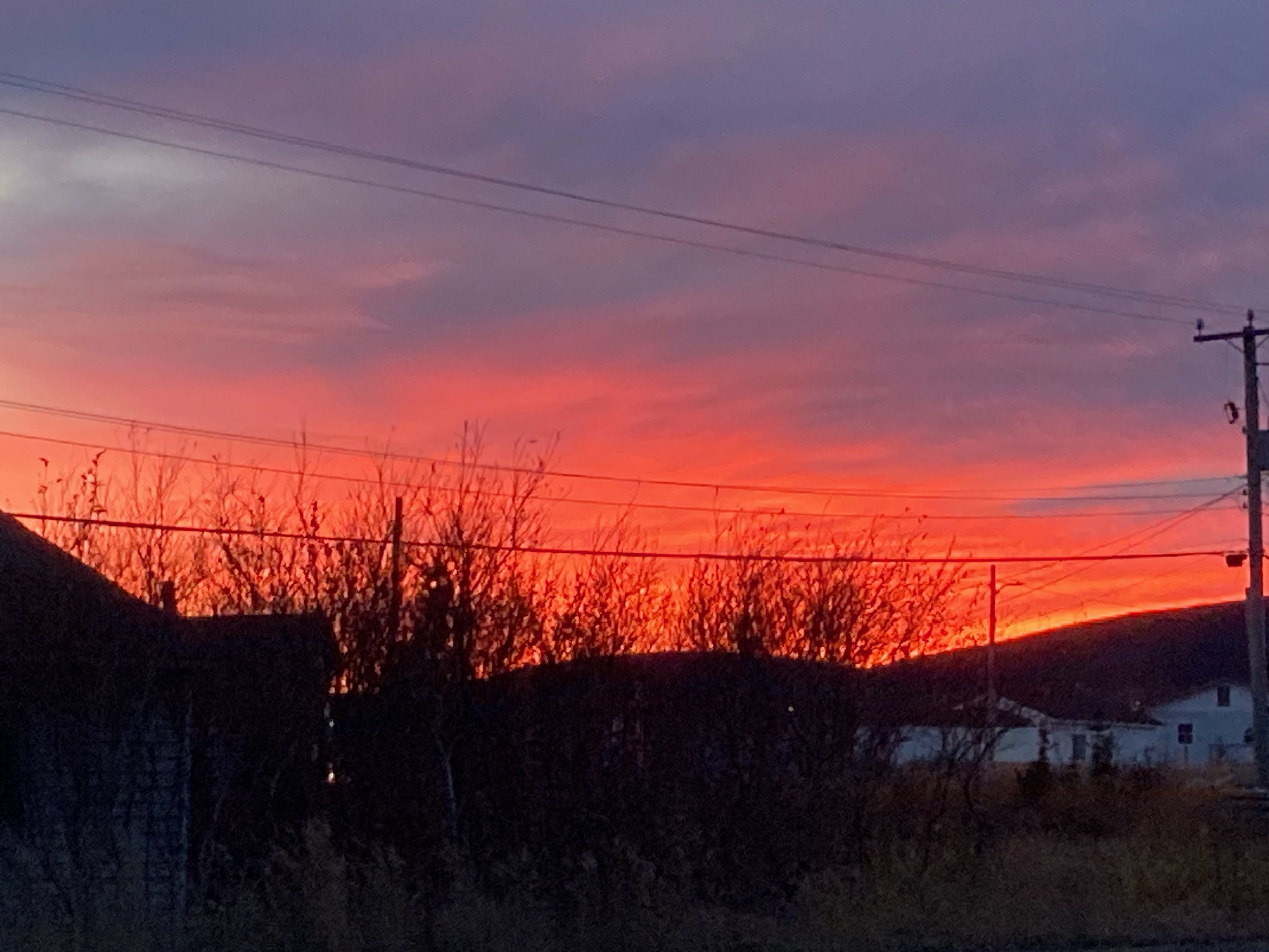 Cotton Candy Skies
