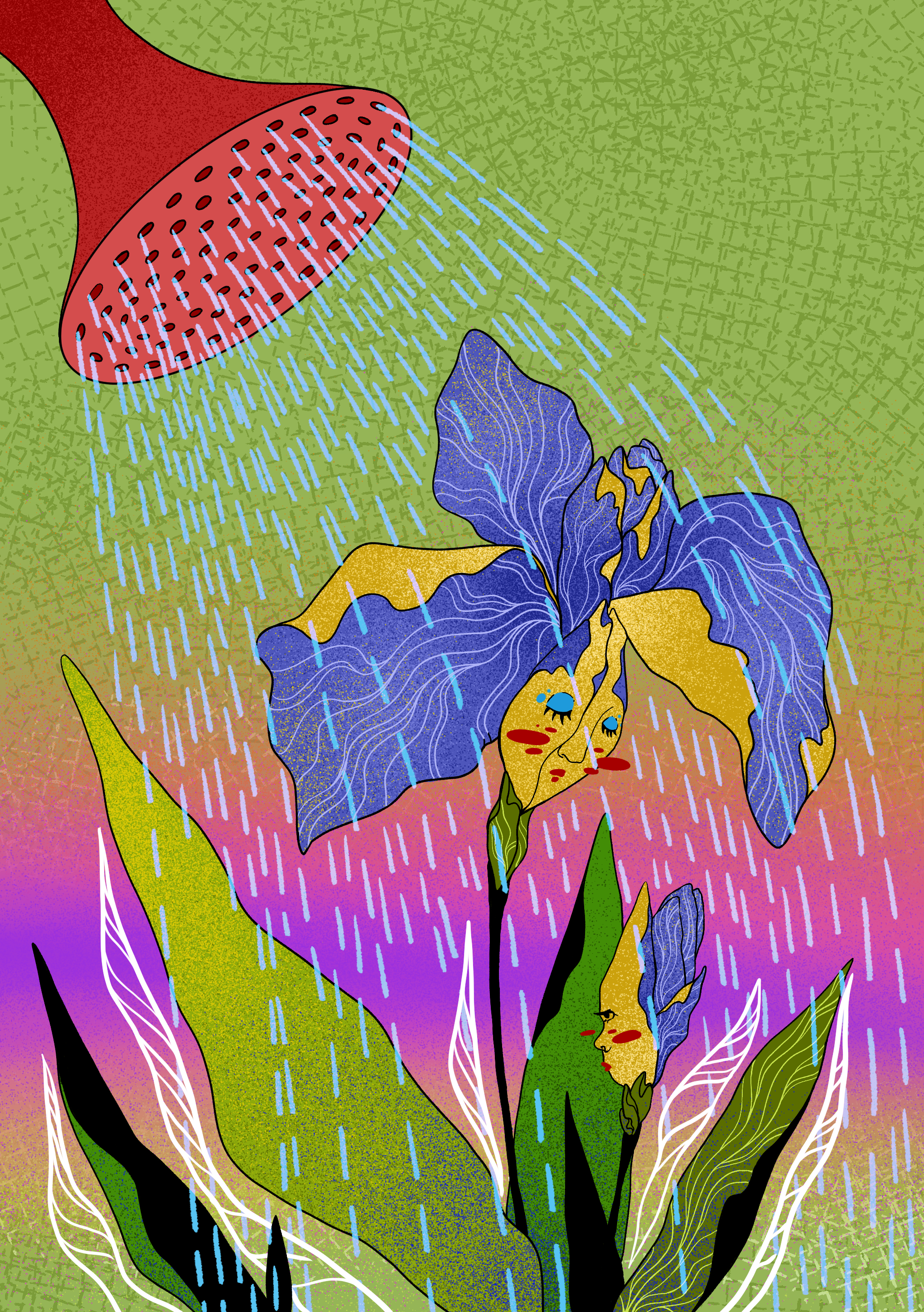 Illustration27 (2).png
