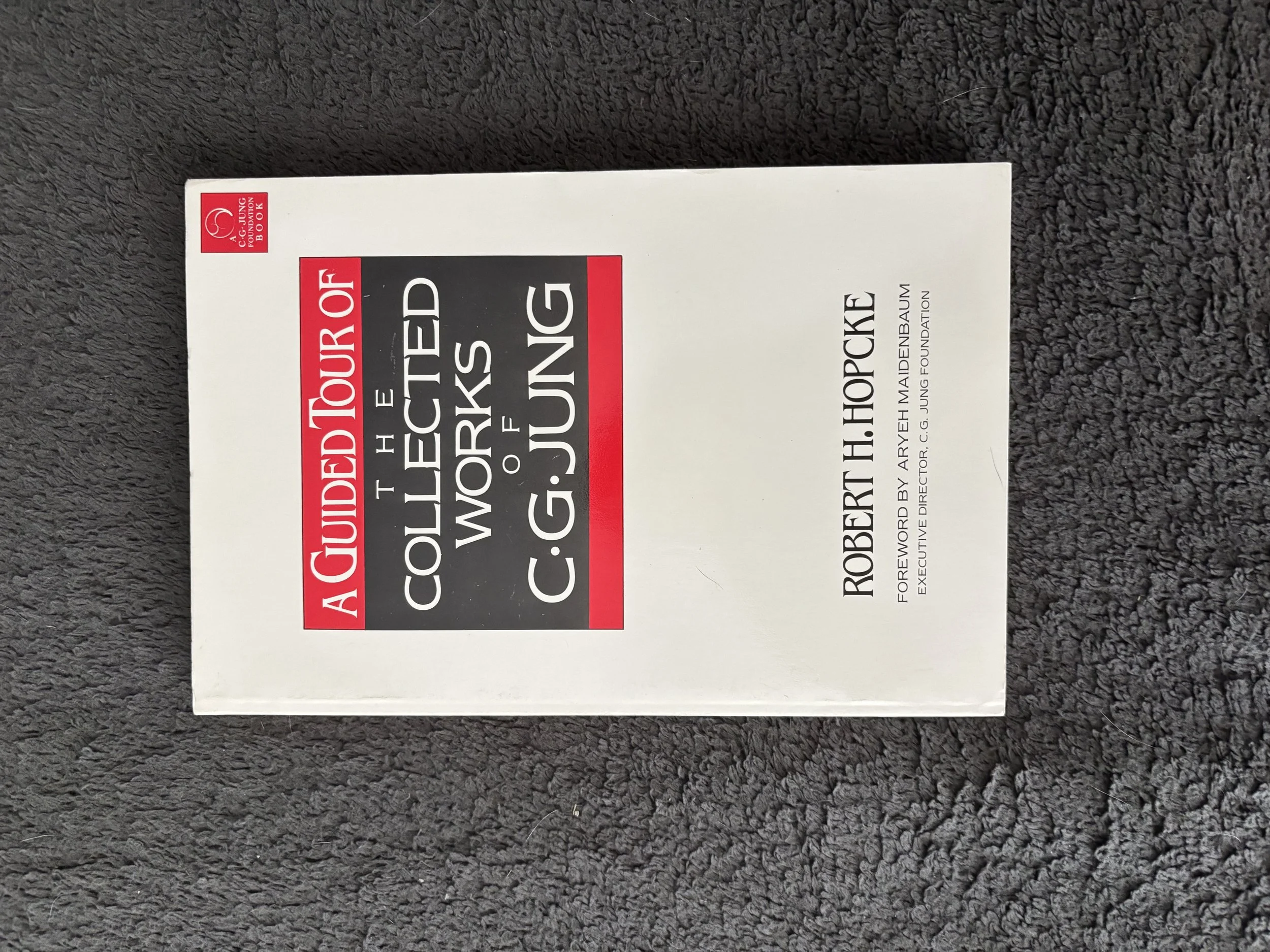 A Guided Tour: The Collected Works of C.G Jung (Used - Good Condition)