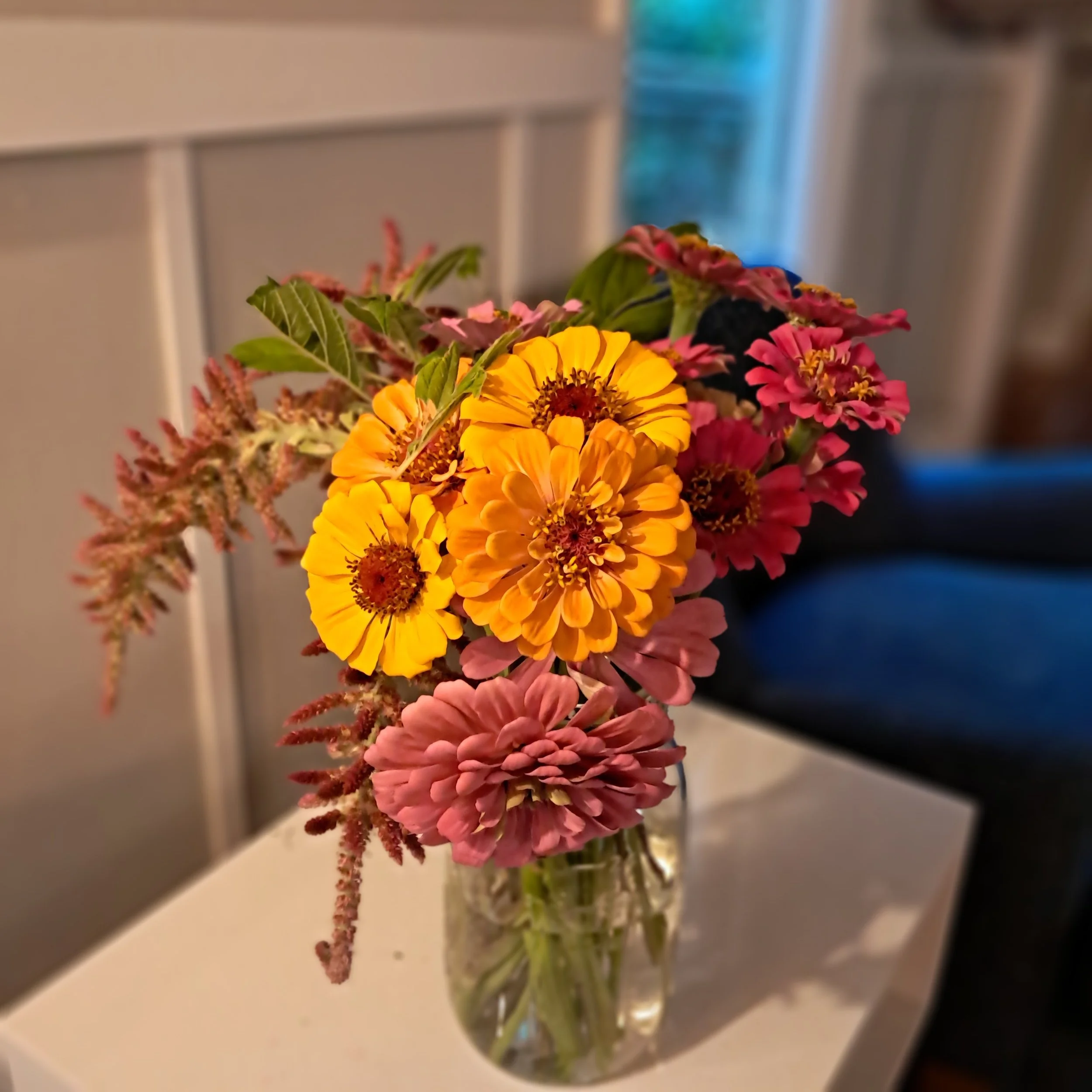 Happiness = Vases full of Zinnias