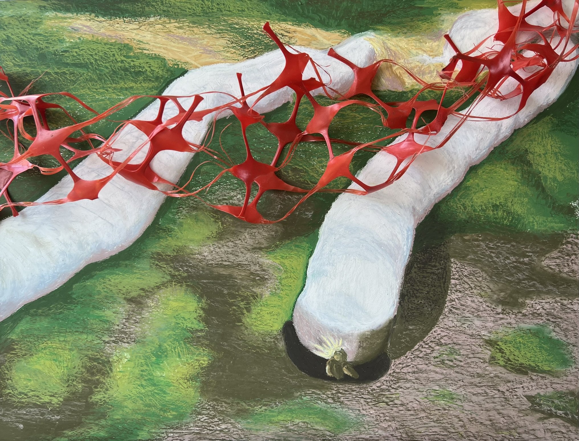 Erosion, 2026. Oil pastel on cotton paper, with found barrier netting.