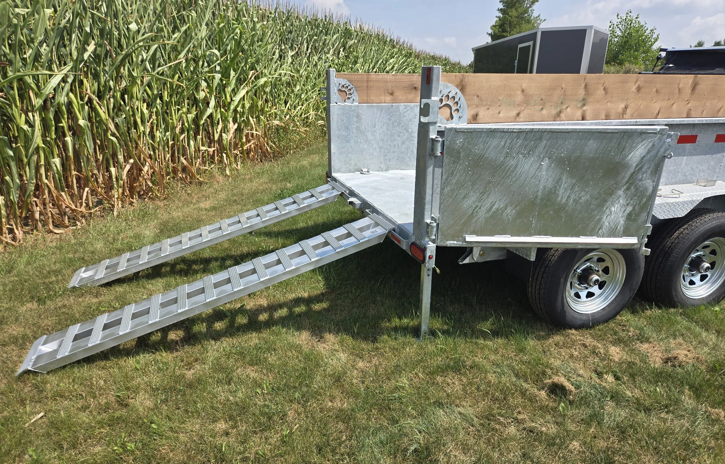 A metal trailer with a wooden side, parked on grassy land beside a cornfield, with foldable metal ramps extended for loading or unloading.