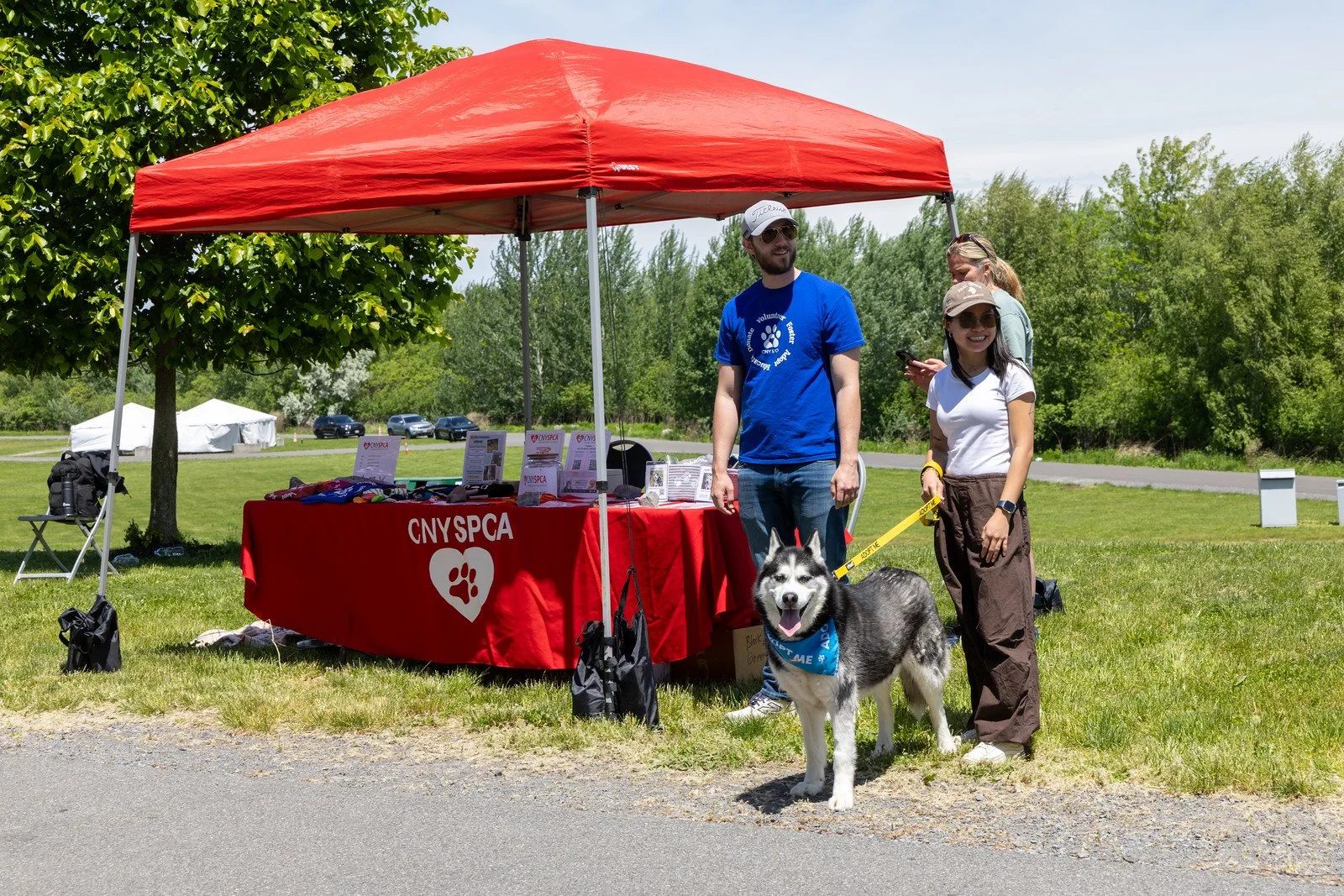 spca4.jpg
