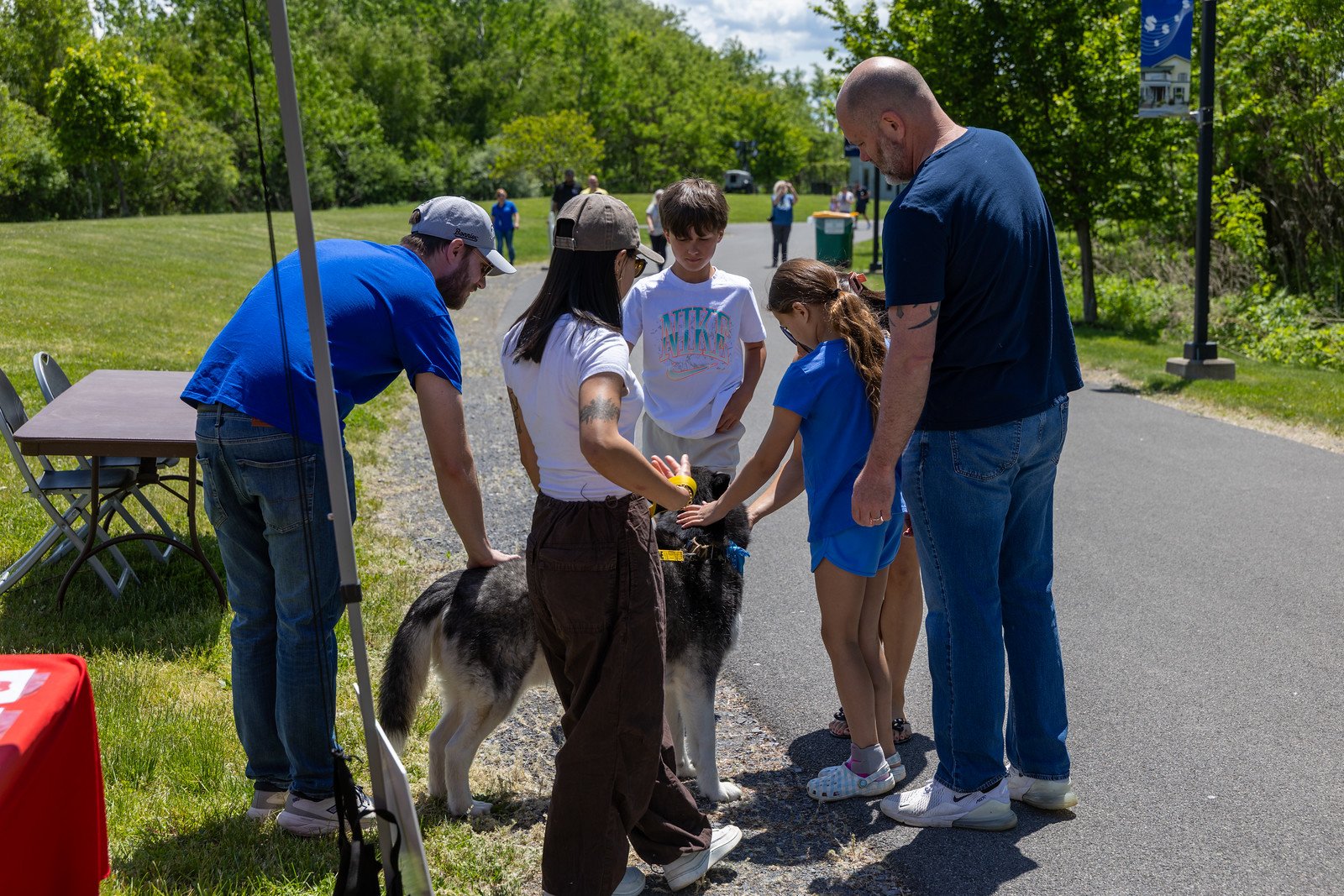 spca3.jpg