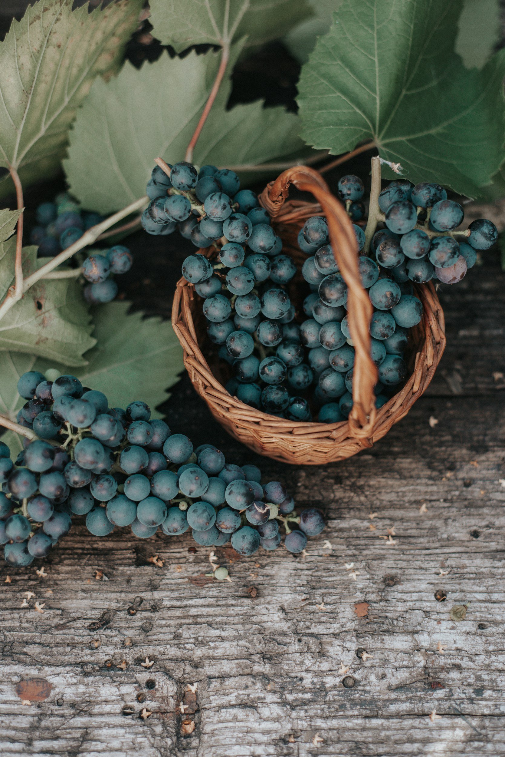 Fasting Insights Pt2