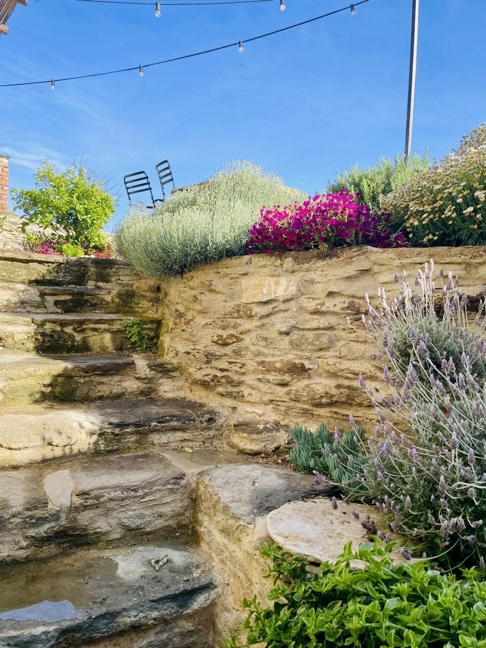 f7959949-fd6d-4b3c-99cc-a4fbcdbde9c3 3.jpg