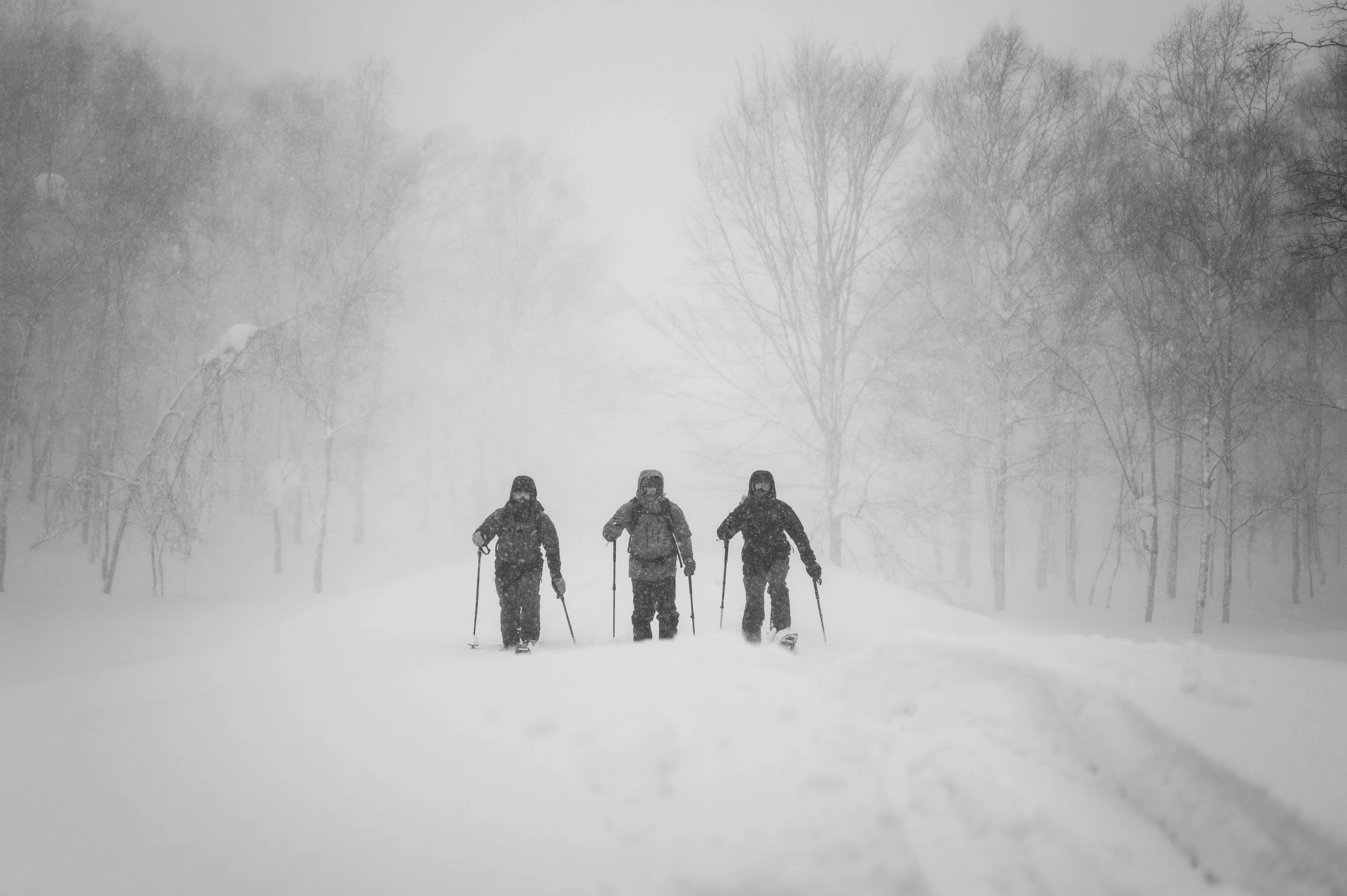 Three people snowshoeing in a snowy, wooded landscape with snow falling.