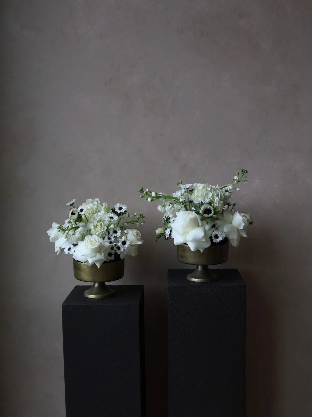 Proof that Tuesdays deserve beautiful things too.🤍

#OmahaFlorist #OmahaFlowers #OmahaFloralDesign #OmahaSmallBusiness #ShopLocalOmaha #WhiteBlooms #SeasonalFlorals #FreshFlowers #FloralDetails #LuxuryFlorals #ModernFlorals #BoutiqueFlorist