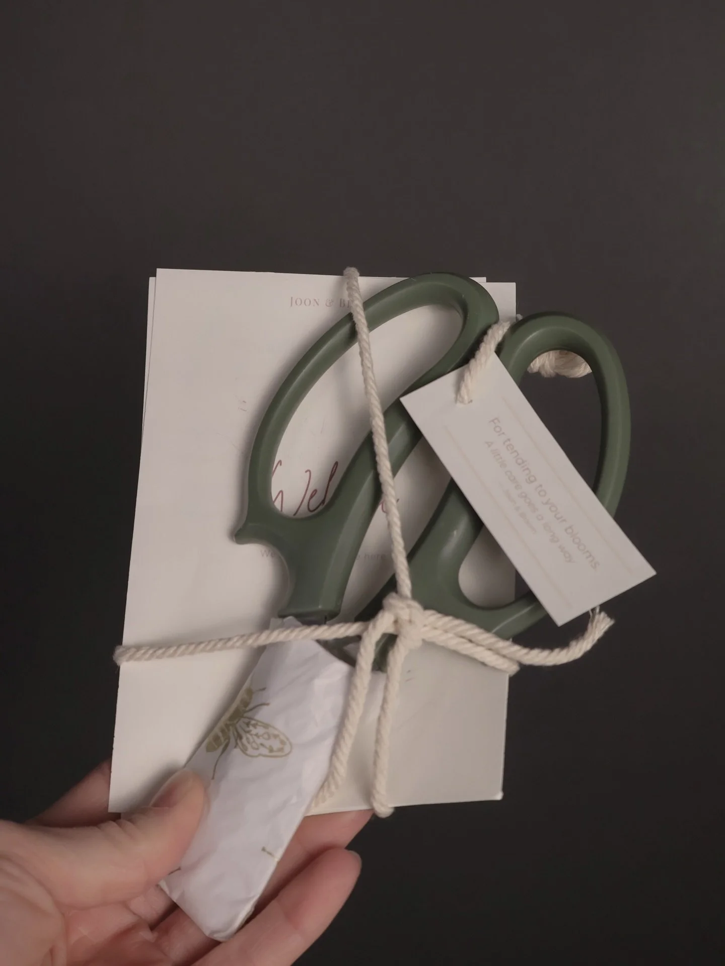 A thoughtful beginning.🤍

Each subscription is designed to feel like a quiet ritual,
something to look forward to, delivered with care.

Your first delivery includes everything you need to begin:
floral scissors, care instructions, and a custom arra
