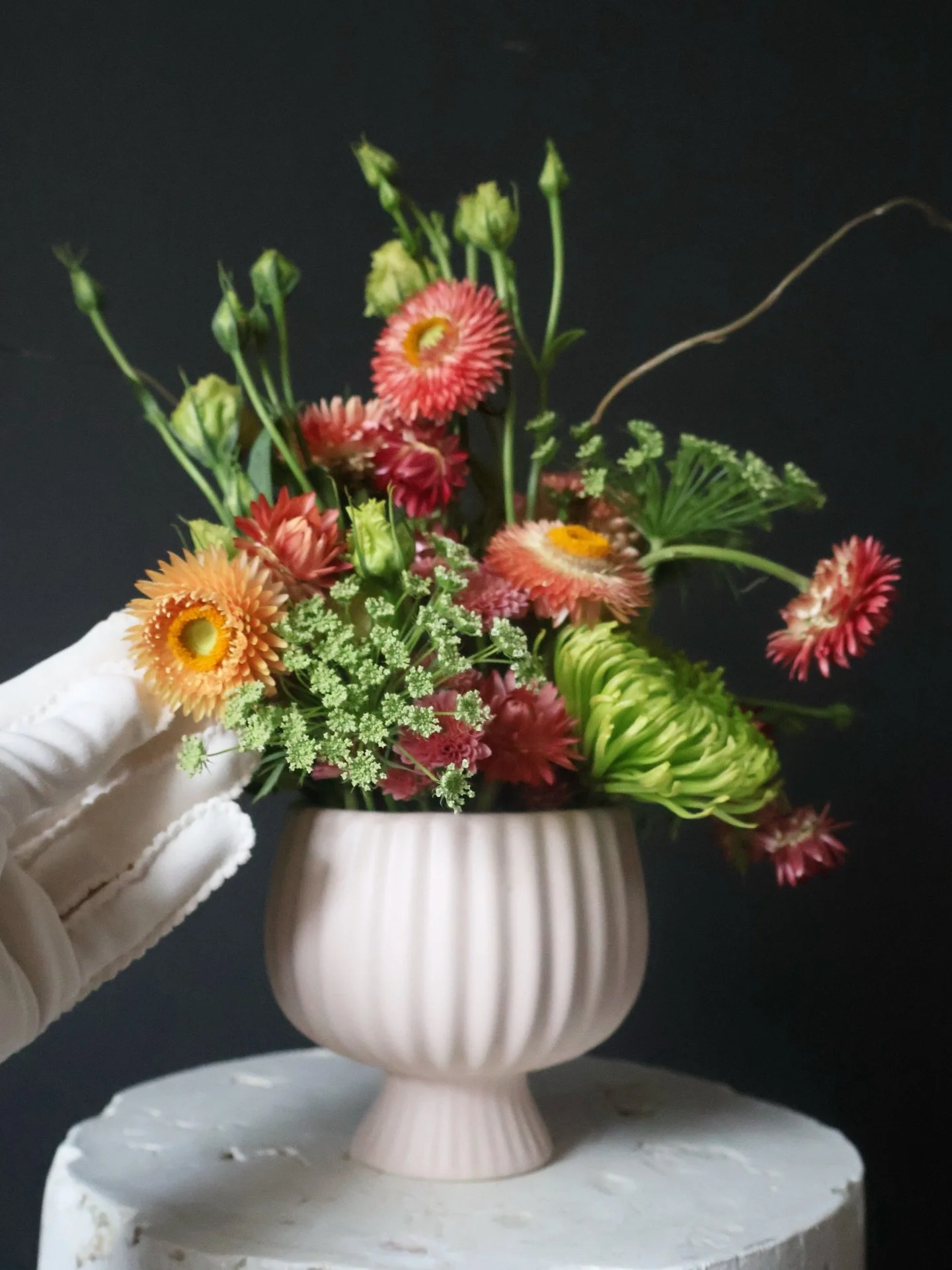 Petite, but never an afterthought.

Designed for the quiet corners&mdash;
bedside tables, kitchen counters, the places you pass every day.

Subscription florals, created to live with you.

#joonandbloom
#omaha
#refinedflorals
#intentionaldesign
#subs