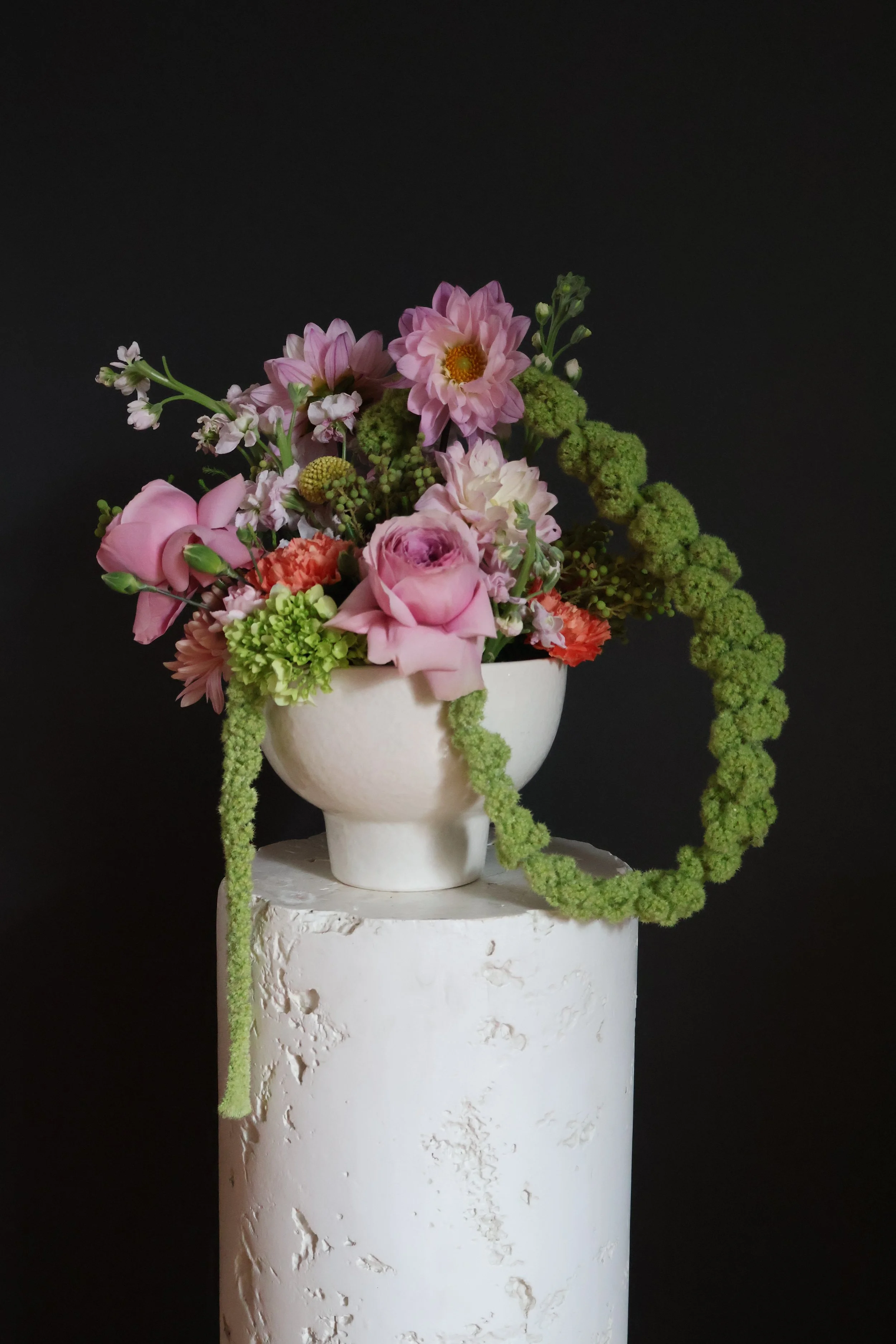 Designer Curated — Within Your Budget