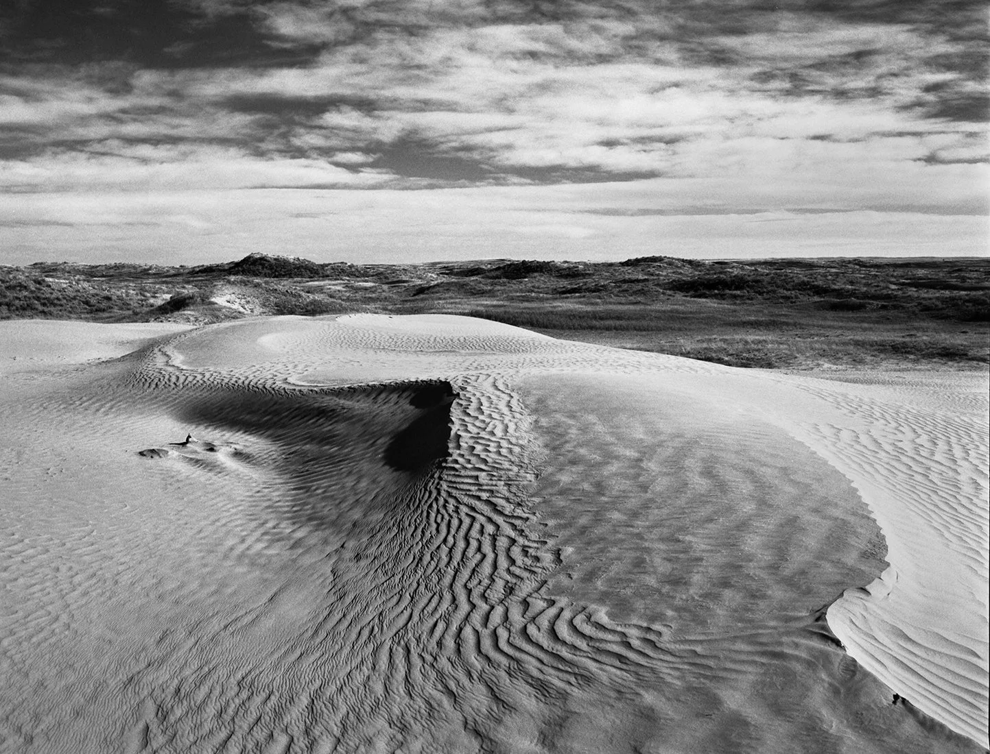 Sask Sand Dunes 4 small.jpg